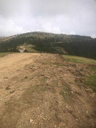 Imagen Bando informativo. Pista de La Caña.