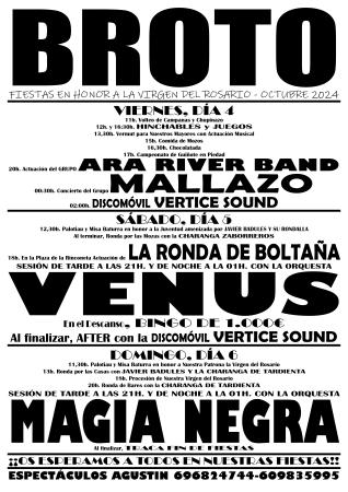 Imagen Fiestas patronales en honor a la Virgen del Rosario
